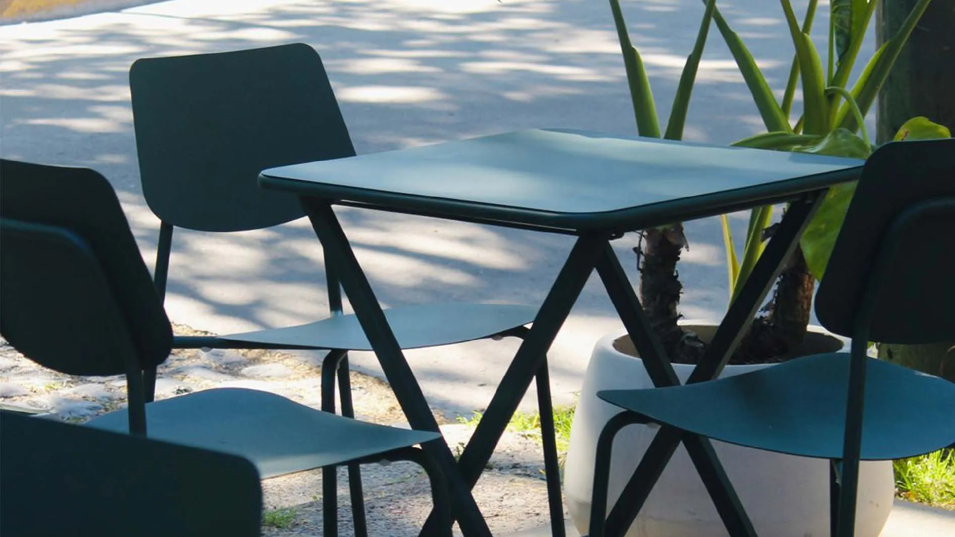 Plantado cafe 1_Página_1_Imagen_0001